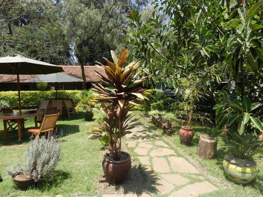Hibiscus Guest House Nairobi Ngoại thất bức ảnh